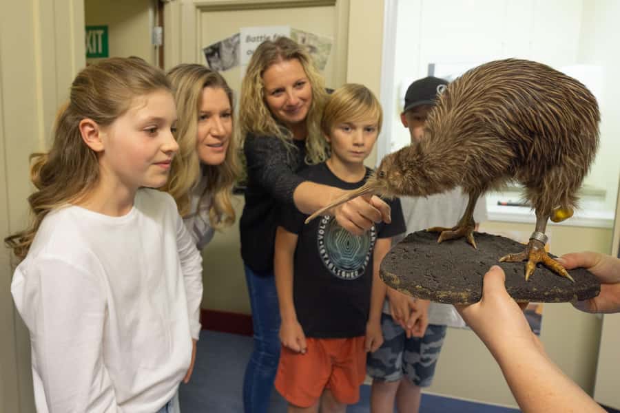 Franz Josef: Kiwi VIP Backstage Pass Tour -Booking Essential - The VIP backstage visit and kiwi conservation
