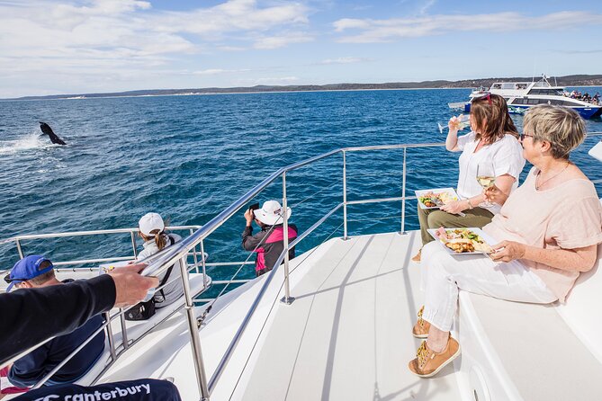 Freedom 3/4 Day Hervey Bay Premium Whale Watching Cruise - Six hours in Platypus Bay, not a quick whale stop