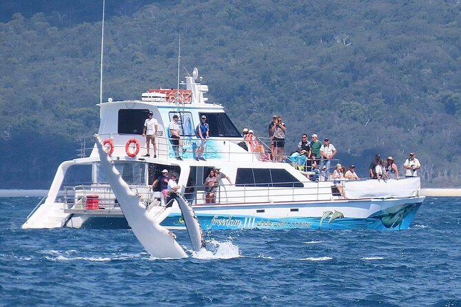 Freedom 3/4 Day Hervey Bay Premium Whale Watching Cruise - Freedom III gives you room to find a good view
