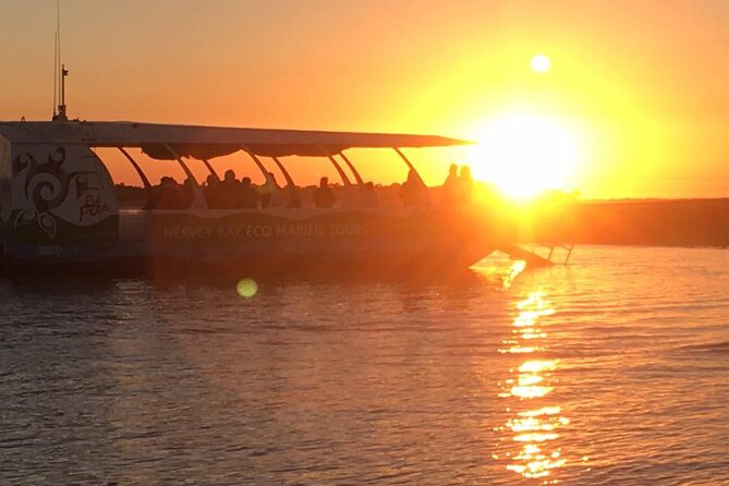 Freedom 3/4 Day Hervey Bay Premium Whale Watching Cruise - Is $125.43 good value?