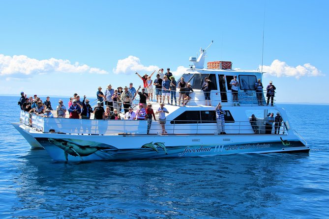 Freedom 3/4 Day Hervey Bay Premium Whale Watching Cruise - Morning tea starts the day at an easy pace