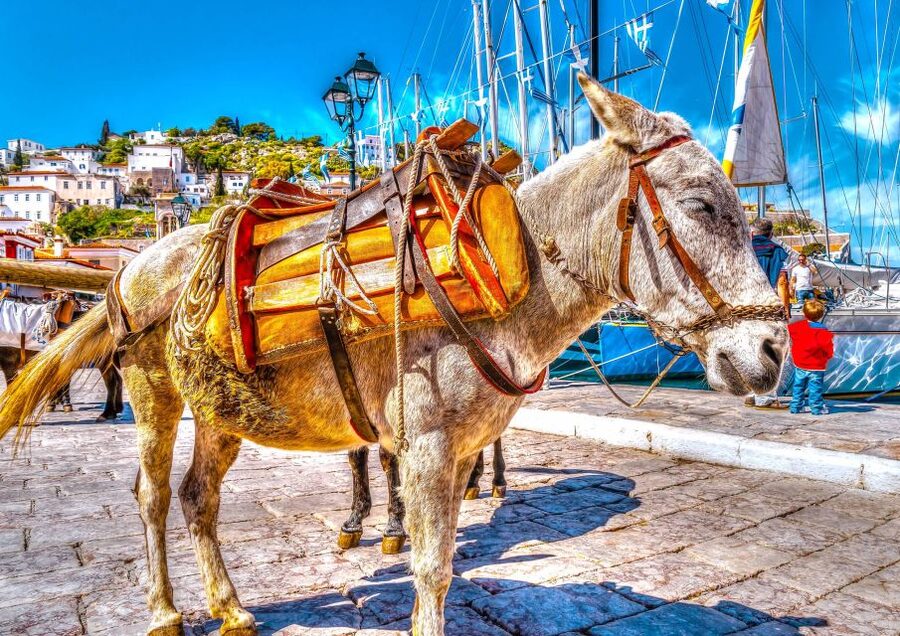 From Athens: Saronic Islands Full-Day Cruise with VIP Seats - Aegina: two hours for swimming, coffee, and pistachios