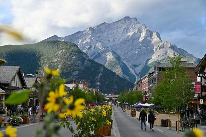 From Banff: Banff Wildlife & Scenic Highlights Premium Tour - Surprise Corner and Bow Falls