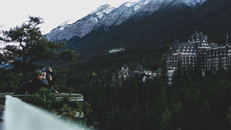 From Banff: Banff Wildlife & Scenic Highlights Premium Tour - What wildlife you might see
