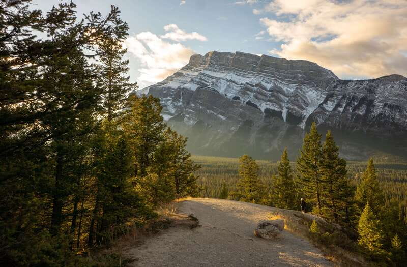 From Banff: Banff Wildlife & Scenic Highlights Premium Tour - Lake Minnewanka and Two Jack Lake
