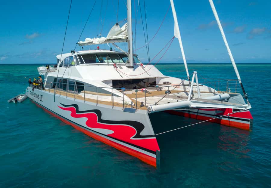 From Cairns: Great Barrier Reef Cruise by Premium Catamaran - Two outer reef sites, not just a quick swim