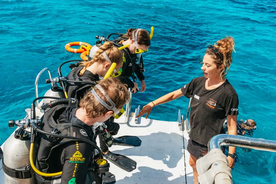 From Cairns: Great Barrier Reef Cruise by Premium Catamaran - Who should book this reef cruise?