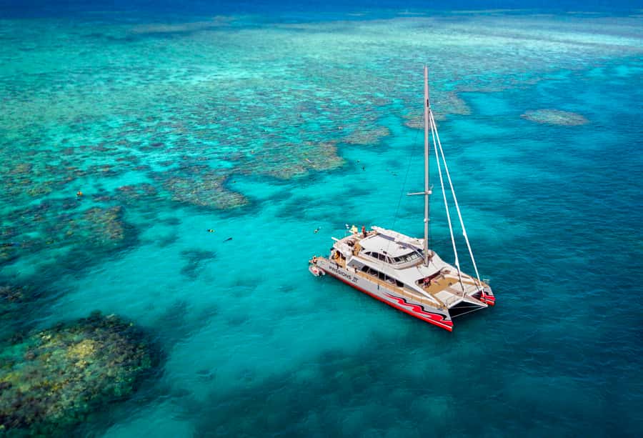 From Cairns: Great Barrier Reef Cruise by Premium Catamaran - The morning starts early at Reef Fleet Terminal