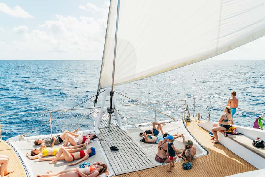 From Cairns: Great Barrier Reef Cruise by Premium Catamaran - First reef session: take the water at your own pace