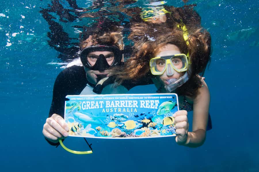 From Cairns: Great Barrier Reef Cruise by Premium Catamaran - Crew care is a major part of the value