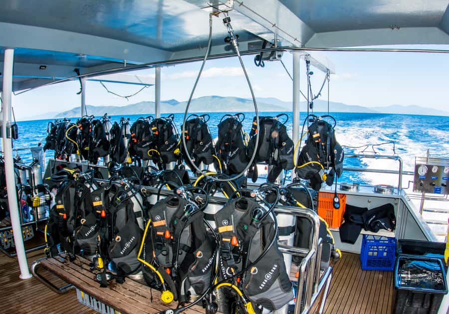 From Cairns: Great Barrier Reef Cruise by Premium Catamaran - Is $190 good value?