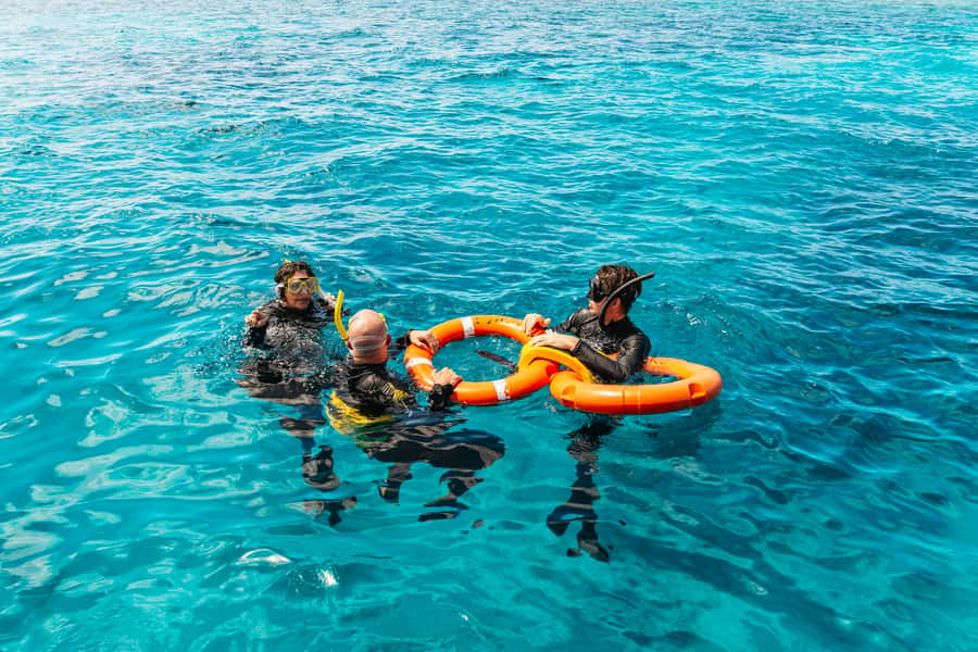 From Cairns: Great Barrier Reef Cruise by Premium Catamaran - The catamaran ride is part of the experience