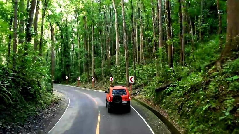 From Cebu: Bohol Countryside & Buffet Lunch Exclusive Tour - Why this Cebu to Bohol trip works as a day tour