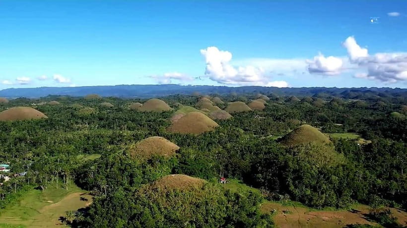 From Cebu: Bohol Countryside & Buffet Lunch Exclusive Tour - The Tarsier Conservation Area and a quieter animal encounter