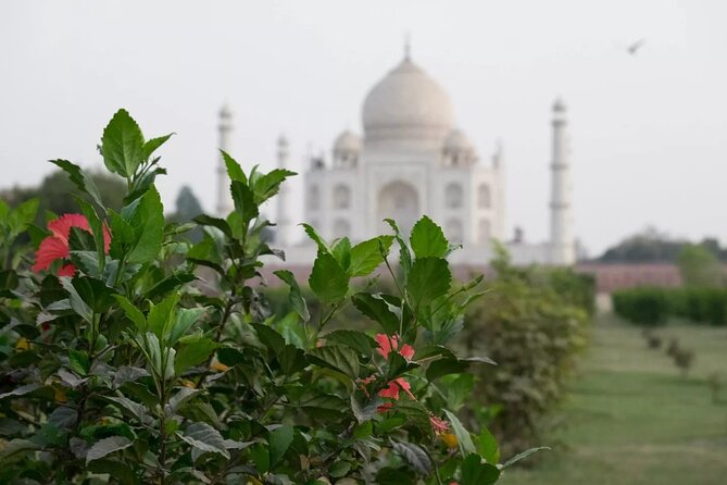 From Delhi : Luxury Taj Mahal Tour By Luxury Car- All Inclusive - Entering the Taj Mahal with a private guide