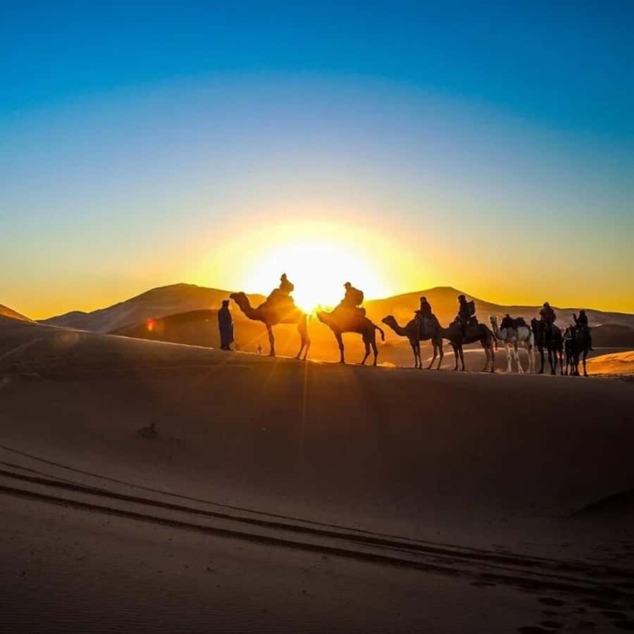 From Fes: 2-Day Luxury Desert Tour to Marrakech & Back Fez - The long road from Fes to the Sahara
