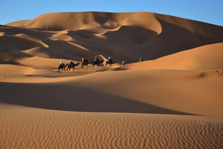 From Fes: 2-Day Luxury Desert Tour to Marrakech & Back Fez - A luxury tent with a real desert night