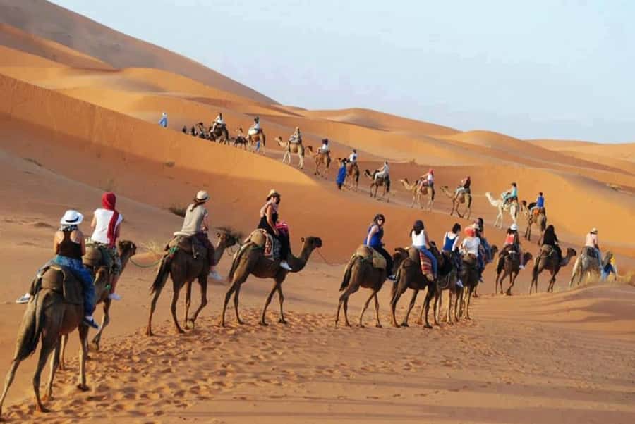 From Fes: 2-Day Luxury Desert Tour to Marrakech & Back Fez - Guides, vehicles, and the human side