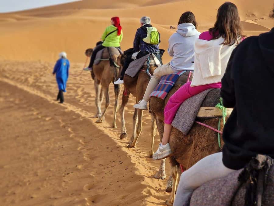 From Fes: 2-Day Luxury Desert Tour to Marrakech & Back Fez - What the $112 price really buys