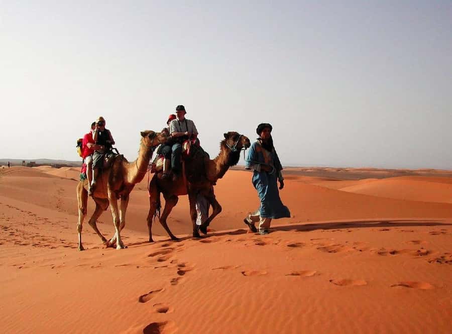 From Fes: 2-Day Luxury Desert Tour to Marrakech & Back Fez - Midelt gives you a useful lunch break