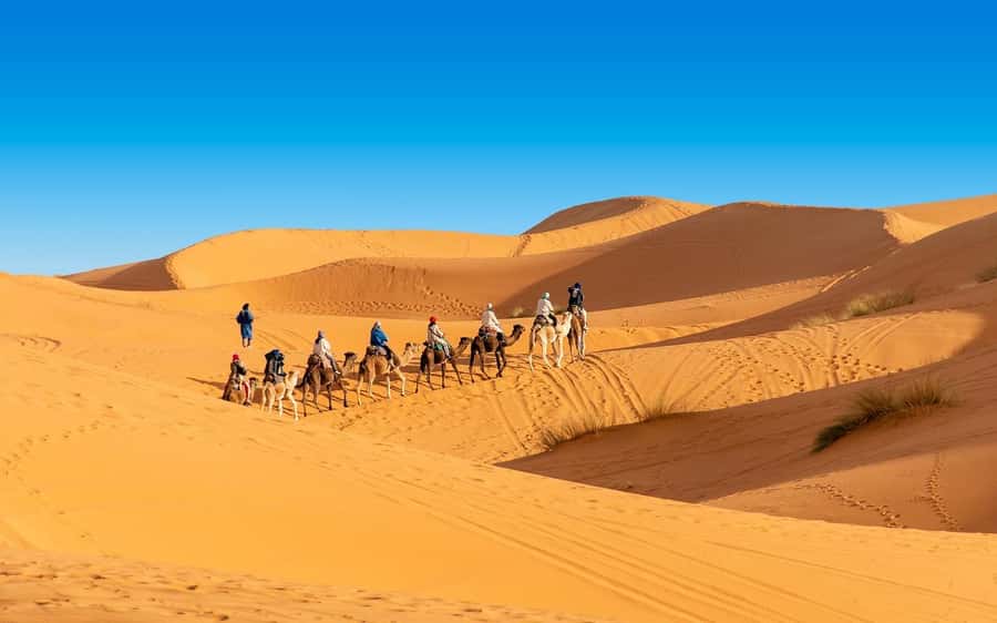 From Fes: 2-Day Merzouga Desert Trip(Luxury Tent & Dinner) - Key points at a glance