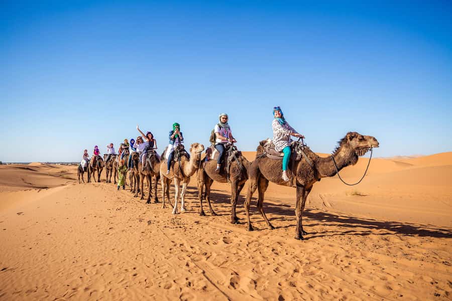 From Fes: 2-Day Merzouga Desert Trip(Luxury Tent & Dinner) - Meeting the Barbary monkeys in the cedar forest