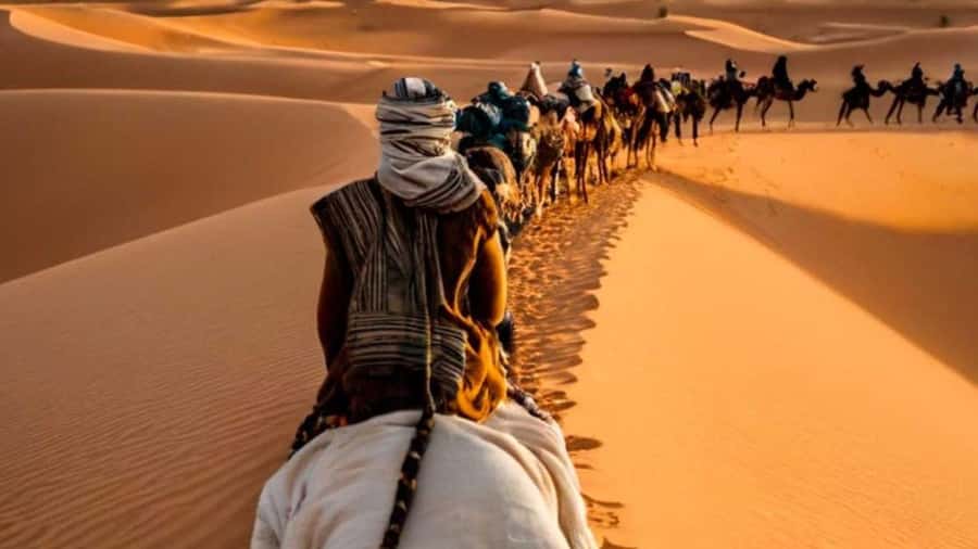 From Fes: 2-Day Merzouga Desert Trip w/Luxury Tent & Dinner - Ifrane and the cedar forest
