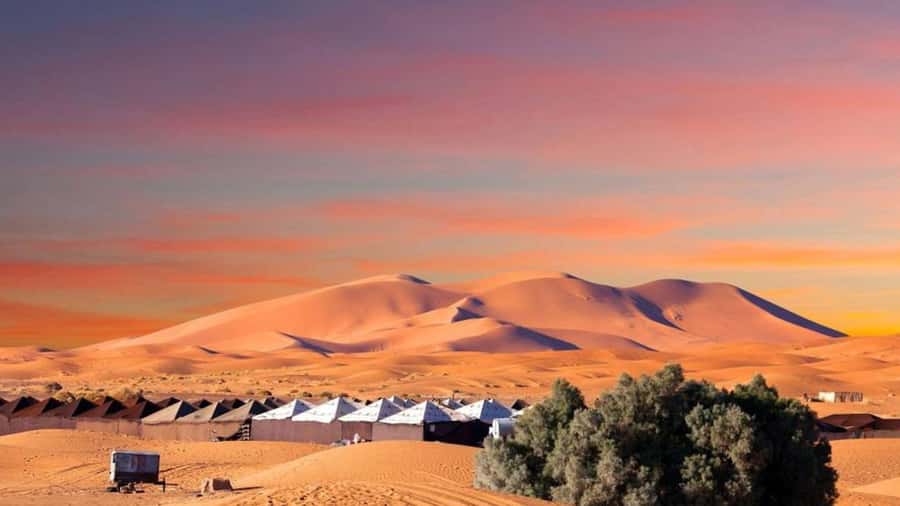 From Fes: 2-Day Merzouga Desert Trip w/Luxury Tent & Dinner - The camel ride into Merzouga