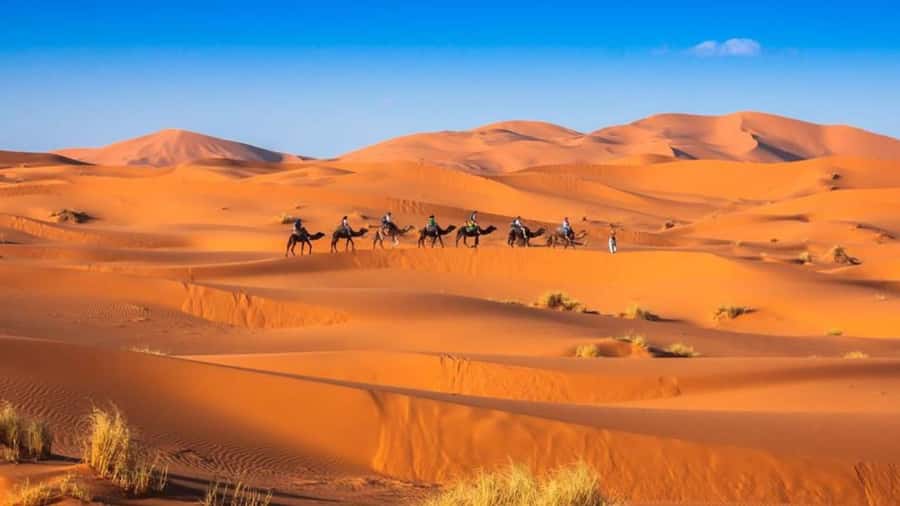 From Fes: 2-Day Merzouga Desert Trip w/Luxury Tent & Dinner - What the $142 price really covers