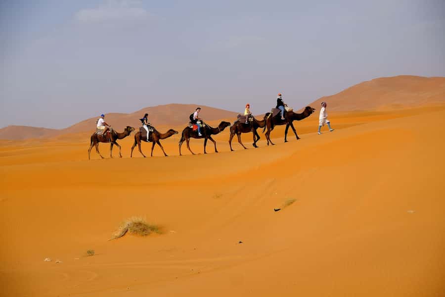 From Fes: 2-Day Merzouga Desert Trip w/Luxury Tent & Dinner - Should you book the Fes to Merzouga trip?