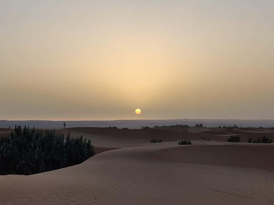 From Fes: 3-Day Luxury Desert Tour to Marrakech via Merzouga - Dades Valley and the monkey fingers