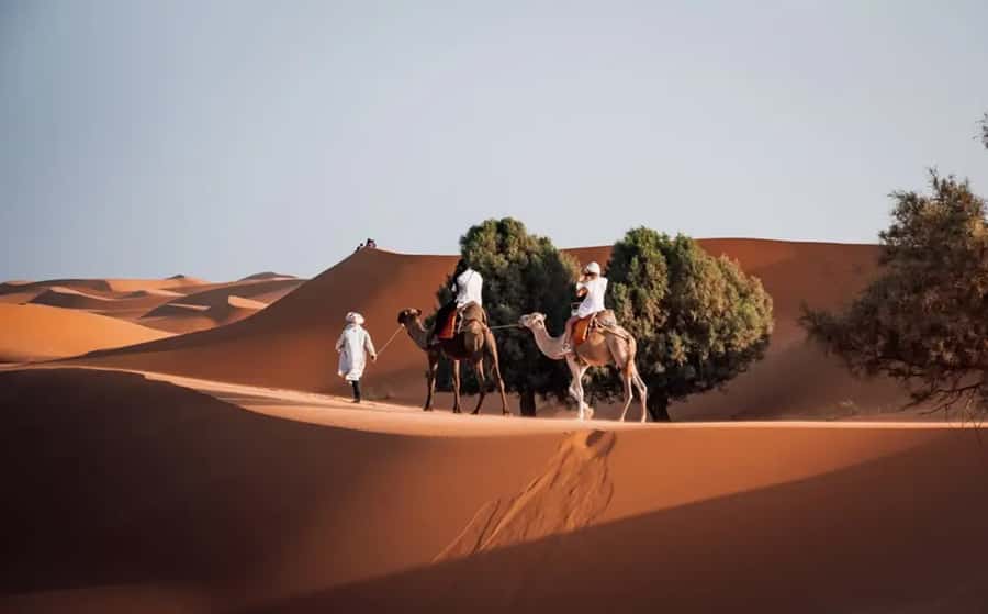 From Fes: 3-Day Luxury Desert Tour to Marrakech via Merzouga - Day 1: Ifrane, cedar forests, and the road to Merzouga