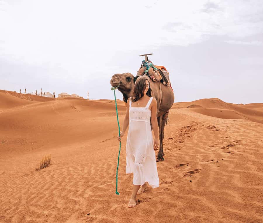 From Fes To Marrakech: 2-Days with Luxury Camp, Desert Tour - Should you book this Fes to Marrakech desert tour?