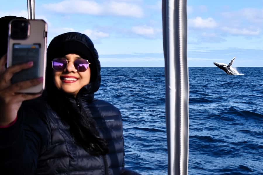 From Fremantle: 2-Hour Luxury Whale-Watching Cruise - Humpbacks, mothers, calves, and social groups