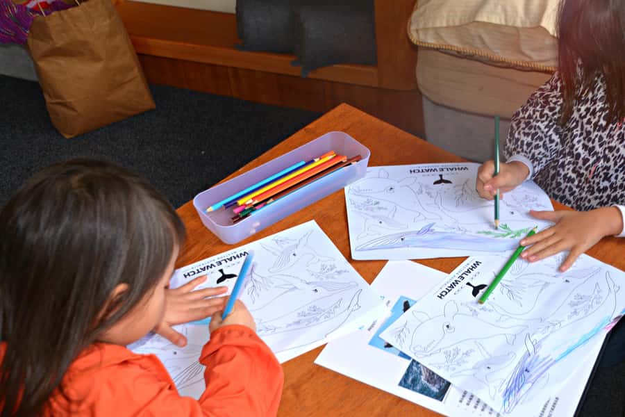 From Fremantle: 2-Hour Luxury Whale-Watching Cruise - Comfort for families and solo visitors