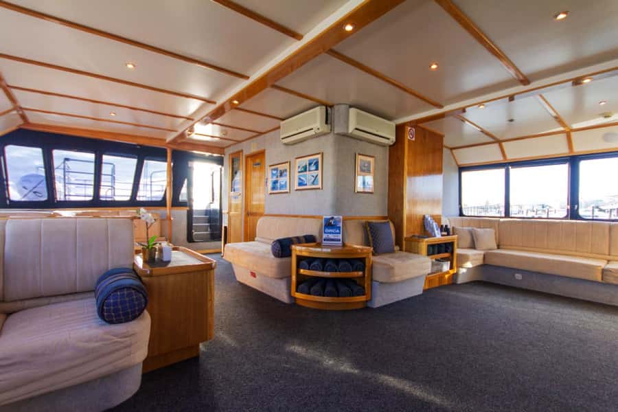 From Fremantle: 2-Hour Luxury Whale-Watching Cruise - Is $67 a fair price?