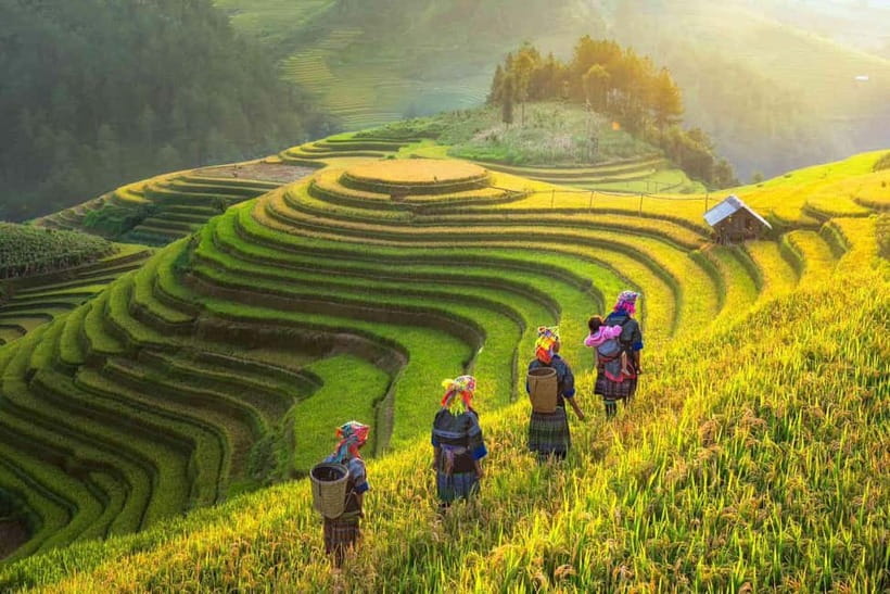 From Hanoi: 2-Day Luxury Sapa Trekking Tour with Homestay - What $110 covers on this Sapa trip