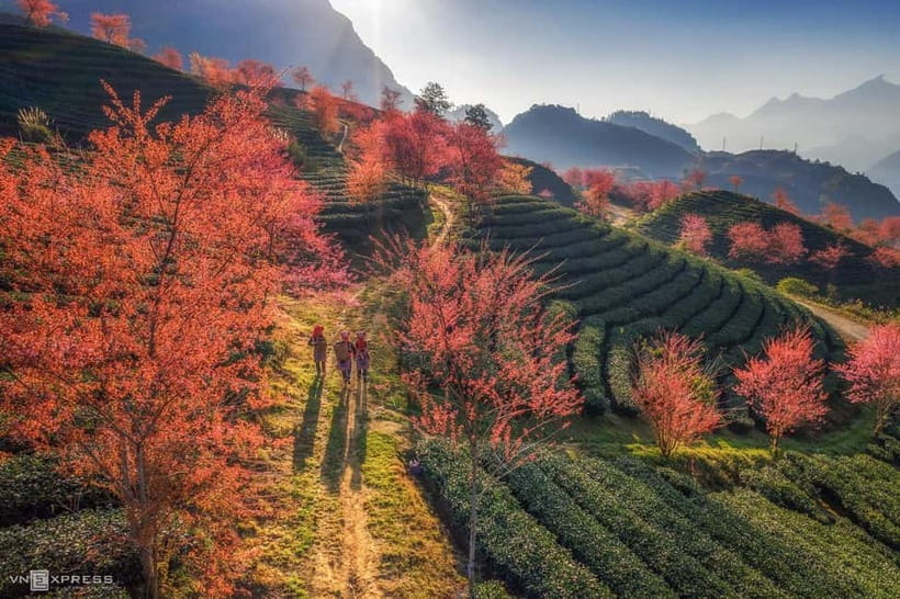 From Hanoi: 2-Day Luxury Sapa Trekking Tour with Homestay - Y Linh Ho and Lao Chai: the first day on the trail