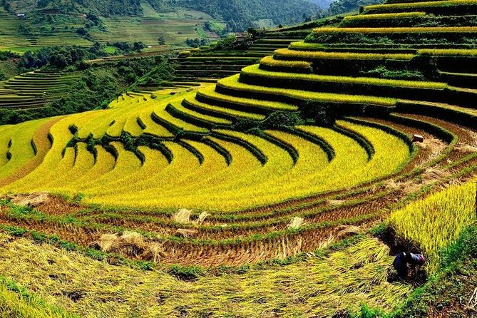 From Hanoi: 2-Day Overnight Sapa Tour by Luxury Van Limousine - The return to Hanoi and the value of the price