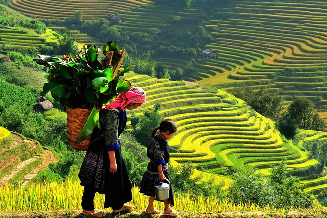 From Hanoi: 2-Day Overnight Sapa Tour by Luxury Van Limousine - The main trek: Y Linh Ho, Lao Chai, and Ta Van