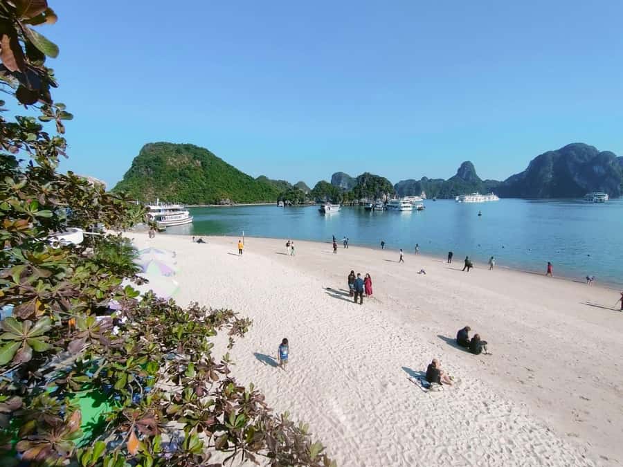 From Hanoi: Ha Long Bay Luxury Day Cruise with Food & Kayak - Titop Island for a climb or a swim