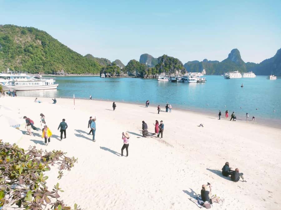 From Hanoi: Ha Long Bay Luxury Day Cruise with Food & Kayak - Sunset tea, wine, fruit, and snacks