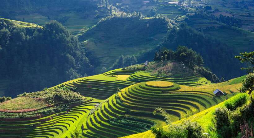 From Hanoi: Premium 2-Day Sapa Adventure with DCAR Limousine - Day one for homestay bookings: Y Linh Ho, Lao Chai, and Ta Van
