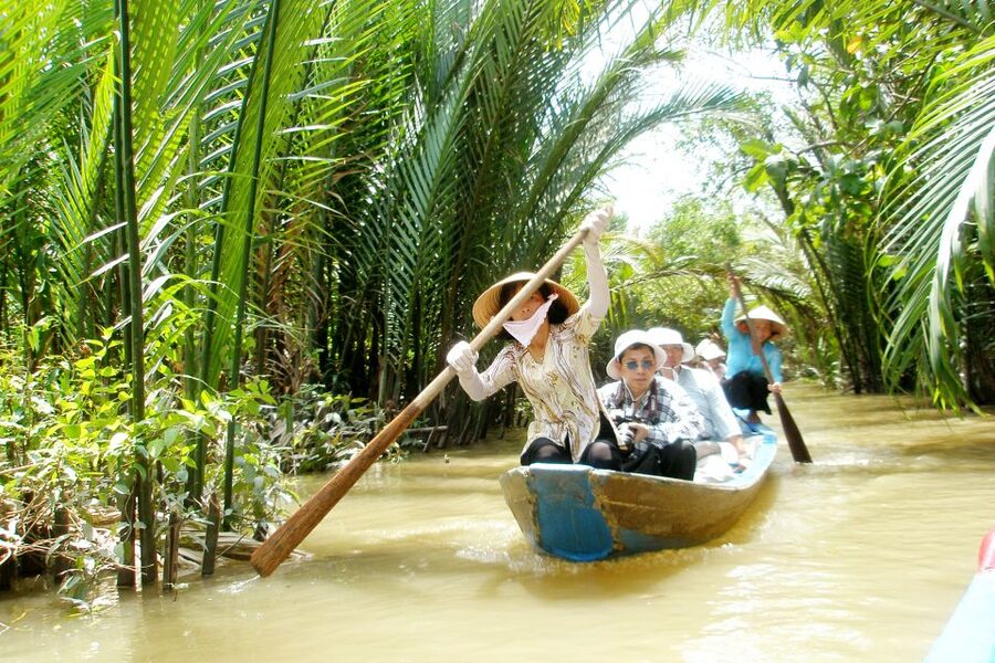 From Ho Chi Minh City: Mekong Delta VIP Tour by Limousine - Who will enjoy this Mekong Delta day