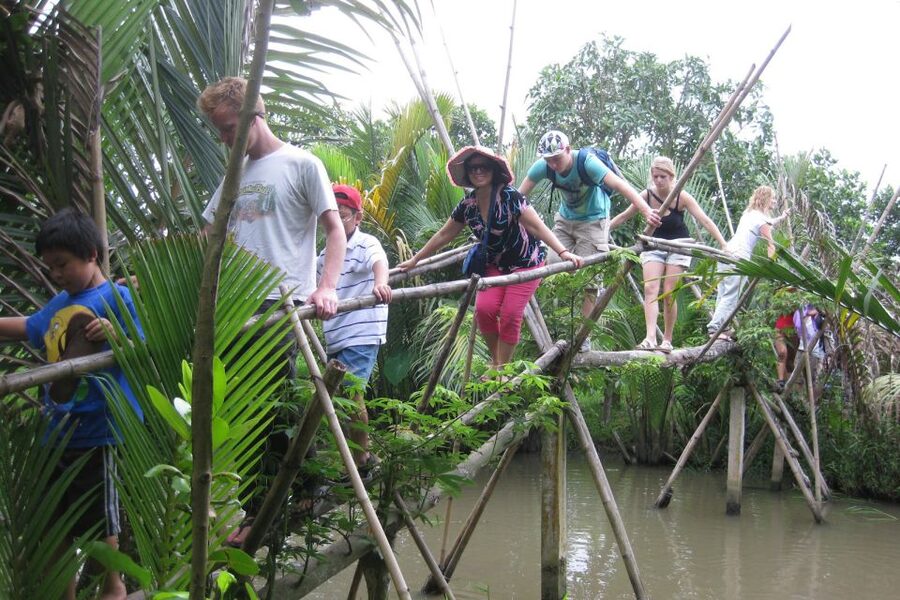 From Ho Chi Minh City: Mekong Delta VIP Tour by Limousine - Vietnamese lunch with time to choose your pace