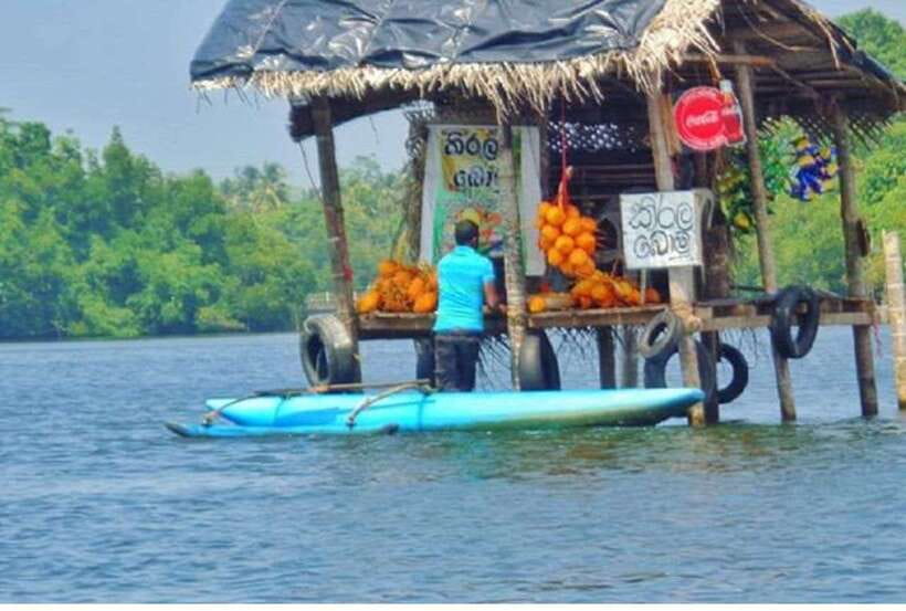 From Kalutara: Exclusive Madu River Safari & Turtle Hatchery - Why this half-day outing works