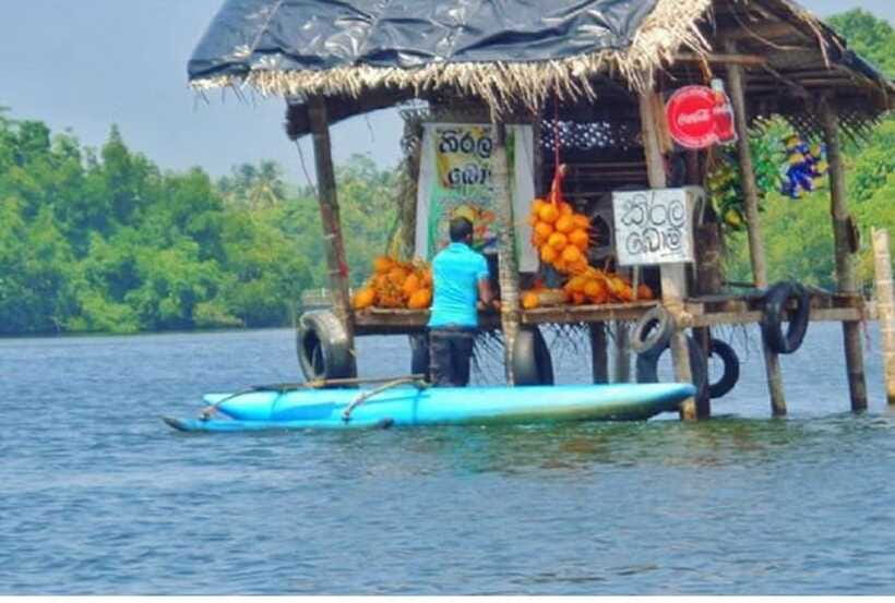 From Kalutara: Exclusive Madu River Safari & Turtle Hatchery - Is $80 per person good value?