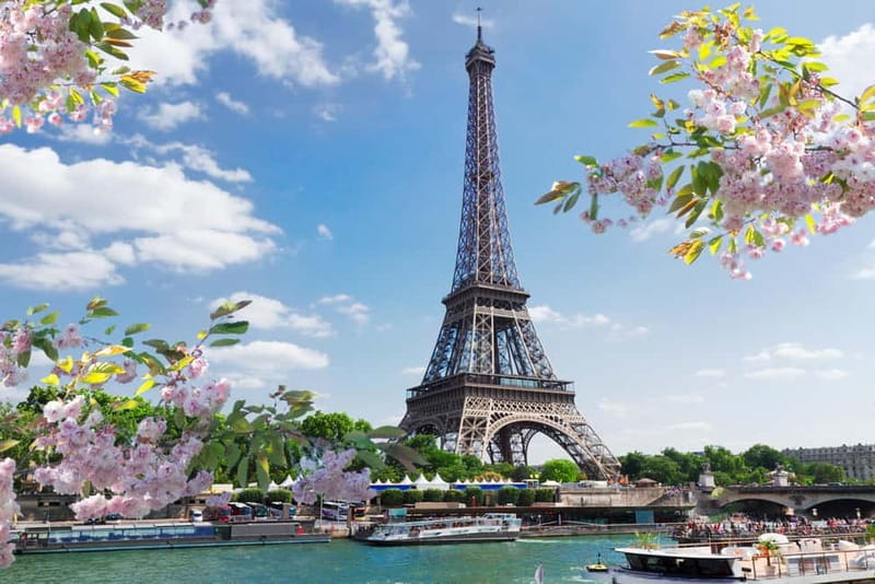 From Le Havre: Deluxe Paris Tour with Seine River Cruise - Seeing the Eiffel Tower from ground level