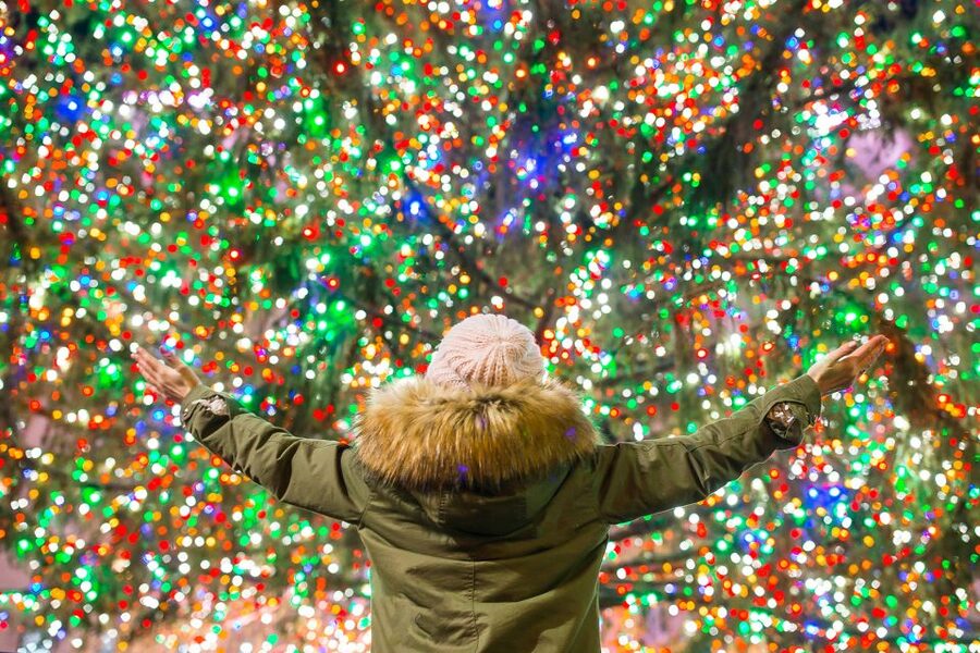 From Manhattan: 4-Hour Christmas Lights Luxury Bus Tour - Cold weather, crowds, and practical planning