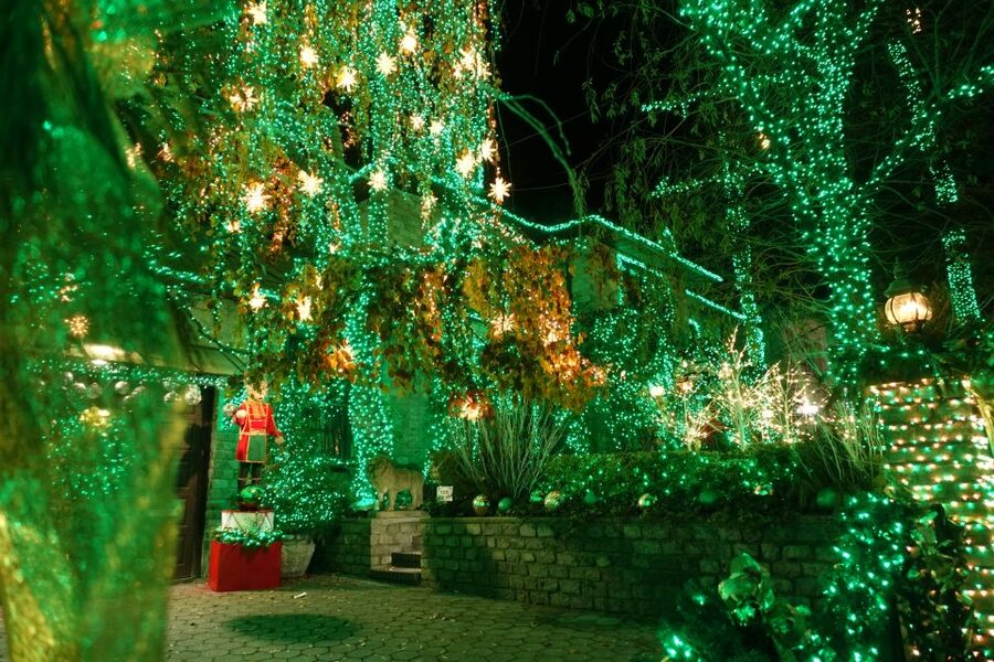 From Manhattan: 4-Hour Christmas Lights Luxury Bus Tour - Who will enjoy this tour most